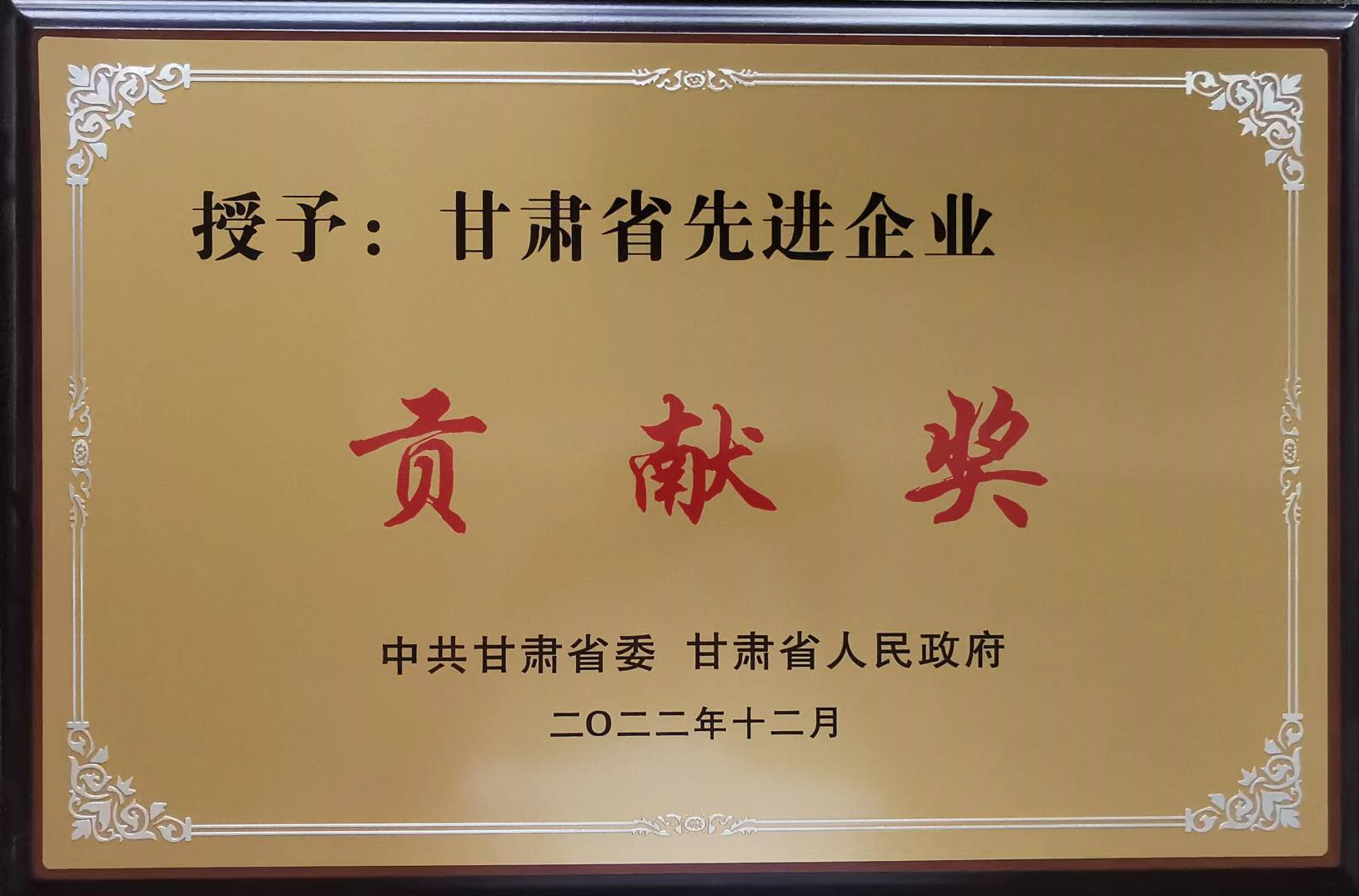 甘肃省先进企业孝顺奖